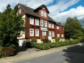 Гостиница Harzhaus-am-Brunnen-Wohnung-2  Альтенау